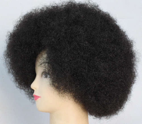 Afro Wig - Colour Black
