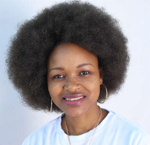 Afro Wig - Colour Brown