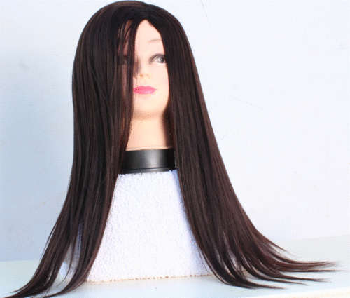 Long Straight Wig