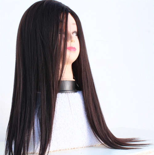 Long Straight Wig