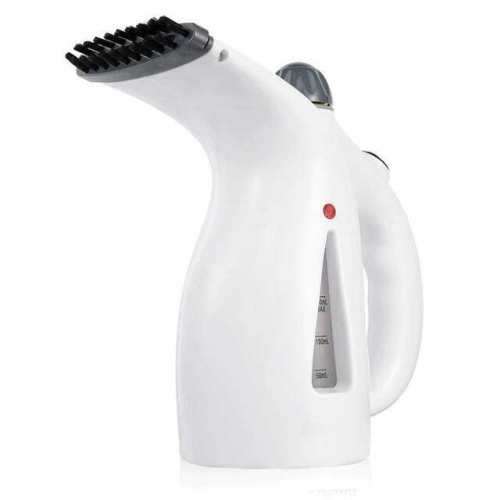 Facial and Garment Steamer