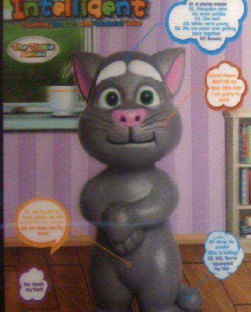 TALKING TOM IPAD TOUCHSCREEN