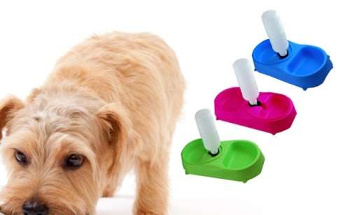 pet feeder1.jpg