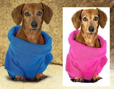 BLUE BLANKIE FOR YOUR DOGGIE