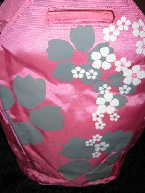 AN ALL NEW FUNKIER  PINK  LAPTOP BACKPACK