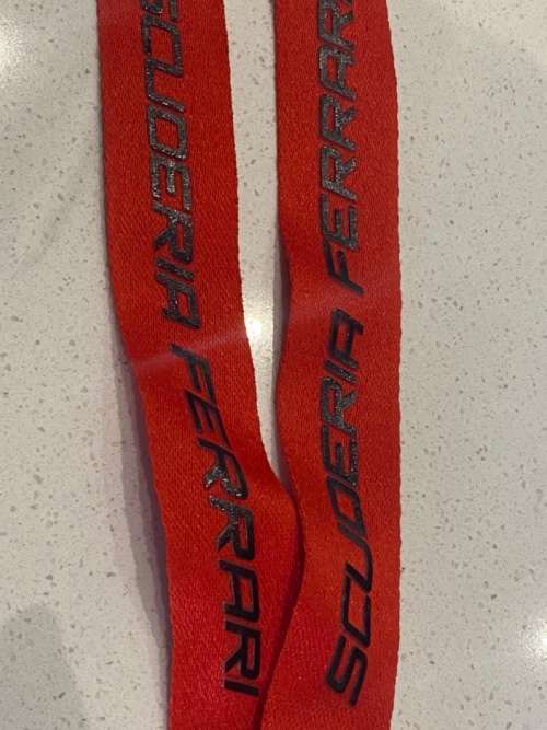 Ferrari & Fernando Alonso Lanyard - 2012 Formula 1 season