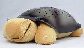 New Music & Star Turtle Nightlight
