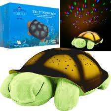 New Music & Star Turtle Nightlight