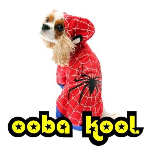 SPIDER DOG + SPIDER CAT / SPIDERMAN PET COSTUME OUTFIT / FITS SMALL HERO HOUND OR CAT / OobaKool