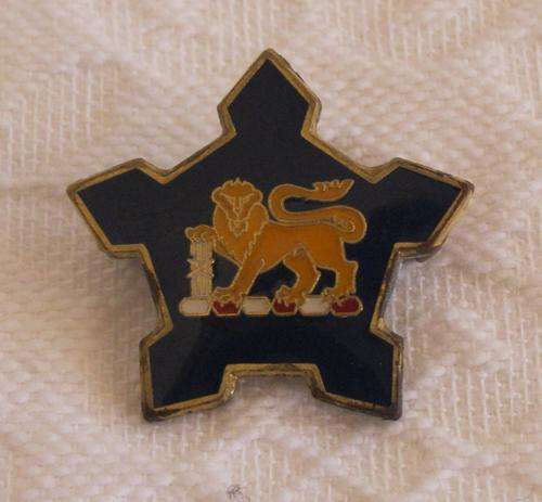 S A Navy Lapel Badge