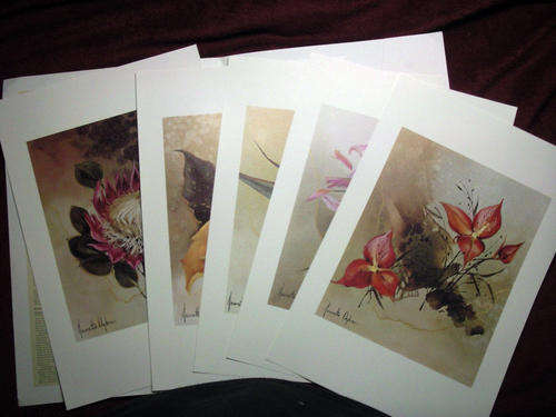 Jeanette Dykman Prints
