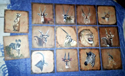14 ORIGINAL OIL PAINTINGS by WILLIE DU PLOOY (ALL FOR ONE BID)