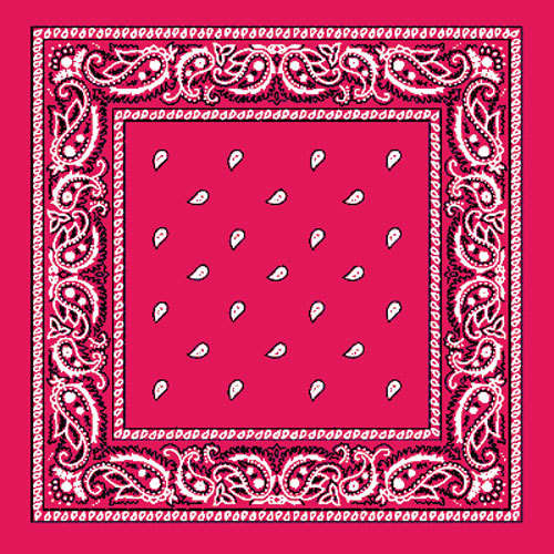 Pink Paisley Bandana