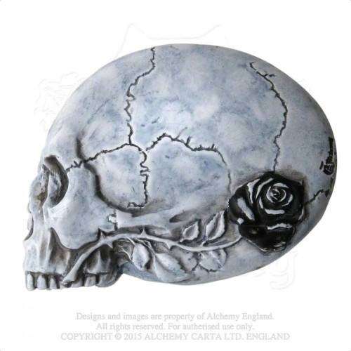 Alchemy Gothic V27 Nevermore Compact Mirror (Resin Compact Mirror)