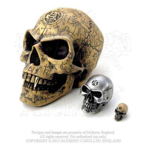 Alchemy Gothic V1 Omega Skull (resin ornament)