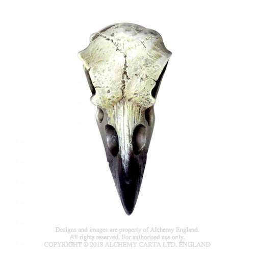 Alchemy Gothic V66 Reliquary Raven Skull (cord not included) 