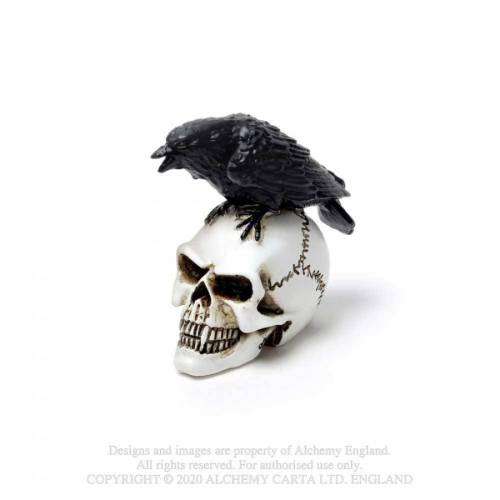 Alchemy Gothic VM7 Raven Skull: MINIATURE resin ornament
