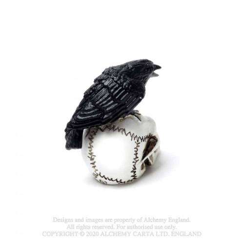 Alchemy Gothic VM7 Raven Skull: MINIATURE resin ornament
