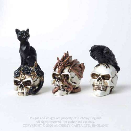 Alchemy Gothic VM7 Raven Skull: MINIATURE resin ornament
