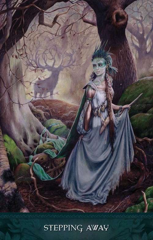Raven`s Wand Oracle Deck