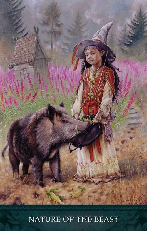 Raven`s Wand Oracle Deck