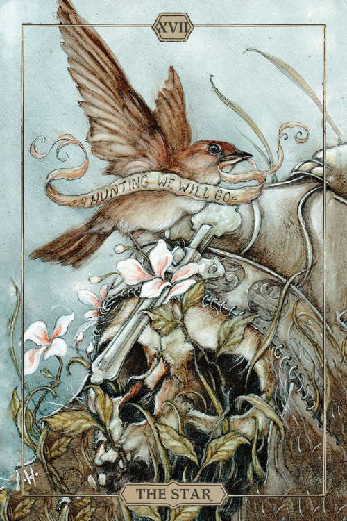 NEW - IN STOCK - Hush Tarot -- 78 card deck & 68 page guidebook