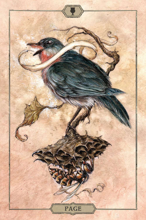 NEW - IN STOCK - Hush Tarot -- 78 card deck & 68 page guidebook