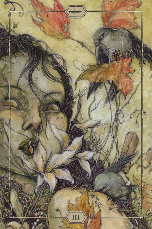 NEW - IN STOCK - Hush Tarot -- 78 card deck & 68 page guidebook