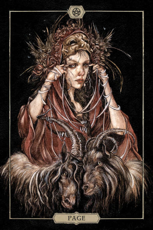 NEW - IN STOCK - Hush Tarot -- 78 card deck & 68 page guidebook