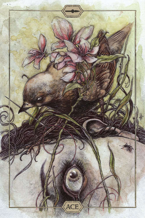 NEW - IN STOCK - Hush Tarot -- 78 card deck & 68 page guidebook