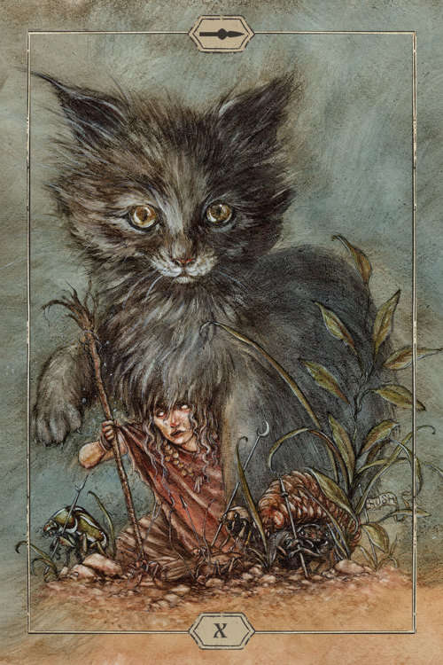 NEW - IN STOCK - Hush Tarot -- 78 card deck & 68 page guidebook
