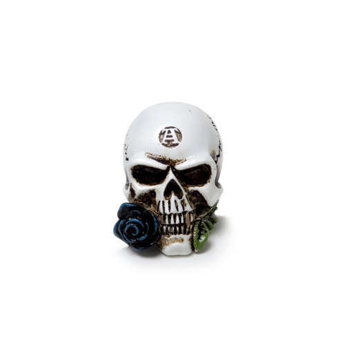 Alchemy Gothic VM6 Alchemist Skull: Miniature resin ornament