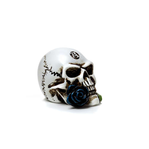 Alchemy Gothic VM6 Alchemist Skull: Miniature resin ornament