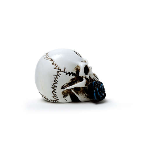 Alchemy Gothic VM6 Alchemist Skull: Miniature resin ornament