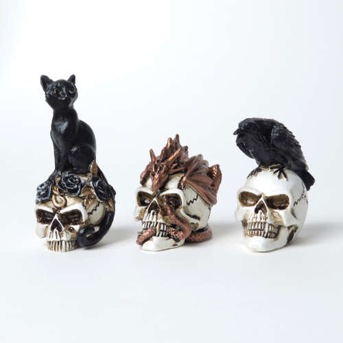 Alchemy Gothic VM4 Dragon Keepers Skull: Miniature resin ornament