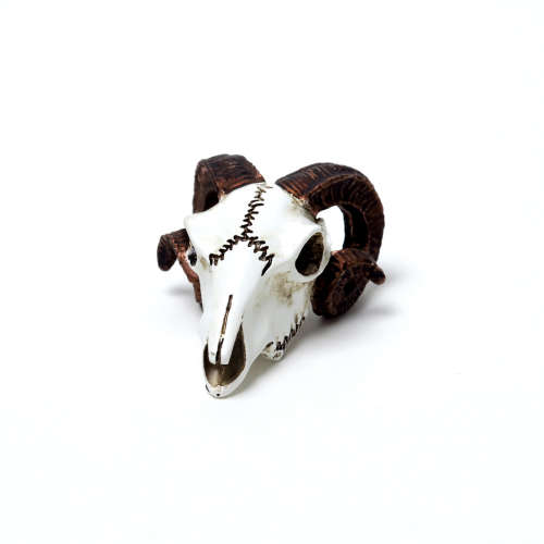 Alchemy Gothic VM1 Rams Skull: Miniature resin ornament