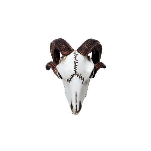 Alchemy Gothic VM1 Rams Skull: Miniature resin ornament