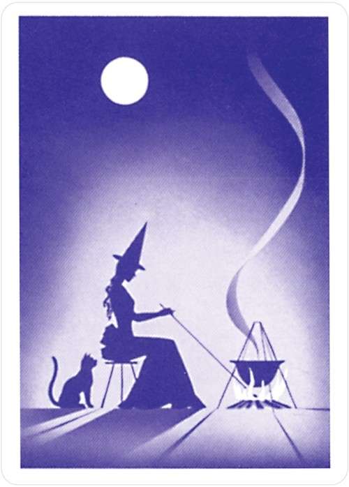 NEW - IN STOCK - Reading Fortune Telling Cards Deck and Book Set