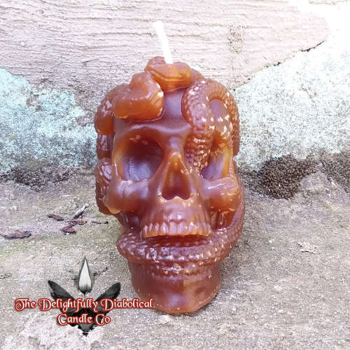 TDDCC Serpent Skull Candle - Dragon Amber - Unscented