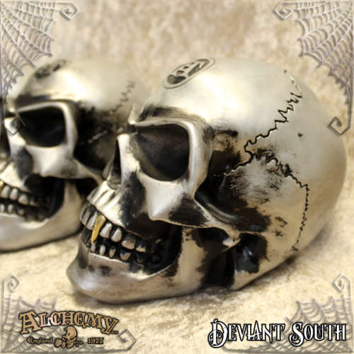 Alchemy Gothic V41 Metalised Alchemist Skull