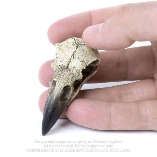 Alchemy Gothic V66 Reliquary Raven Skull (cord not included) 