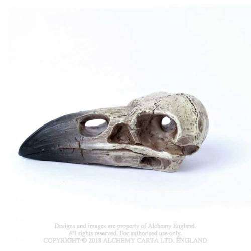 Alchemy Gothic V66 Reliquary Raven Skull (cord not included) 
