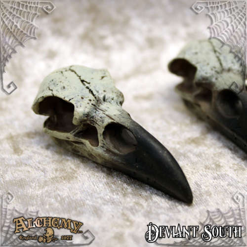 Alchemy Gothic V66 Reliquary Raven Skull (cord not included) 