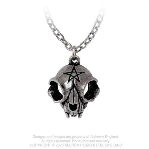 Alchemy Gothic P938 My Forever Friend pendant necklace -- Fine English Pewter
