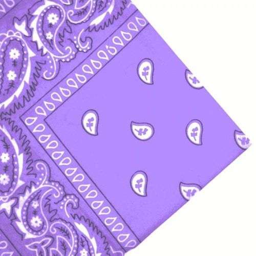 Purple Paisley Bandana