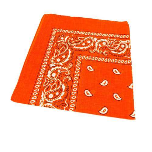 Orange Paisley Bandana