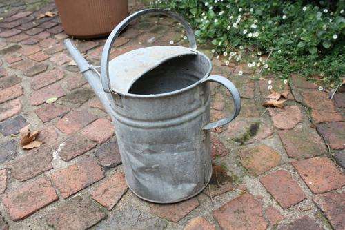 VINTAGE TIN WATERING CAN - PLEASE HAVE A LOOK