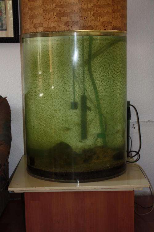 PLEXIGLASS FISH TANK - 65 CM DIA. - 86 CM HIGH -  THE ONE AND ONLY - PURPOSE MADE IN GERMANY