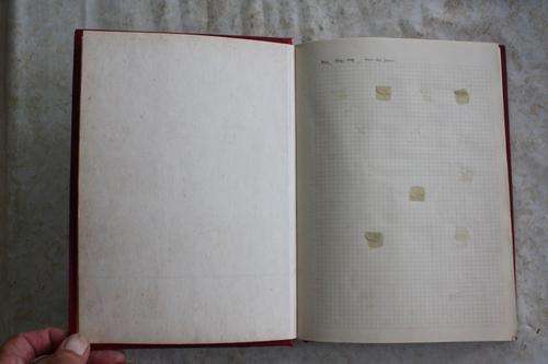 CRAZY TEN RAND START !!! - THE ACE ALBUM - STANLEY GIBBONS - 95 PAGES