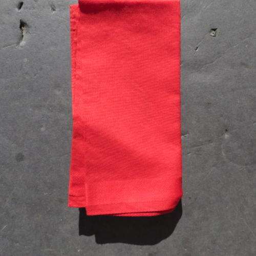 BEAUTIFUL HANKY - PLEASE HAVE A LOOK